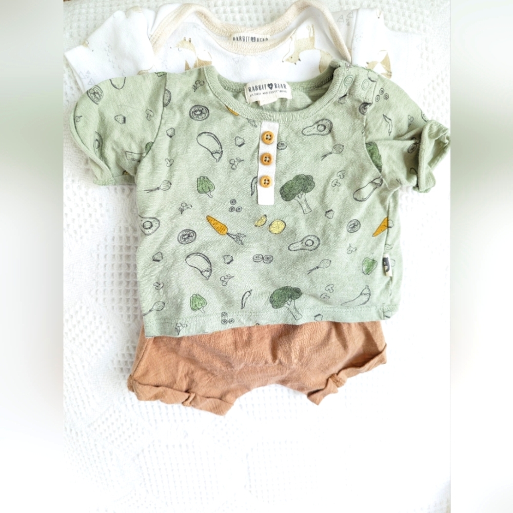 LOT of Rabbit and Bear organic baby boy summer clothes!